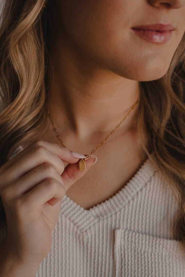 The Fully Known Mini Tag Necklace