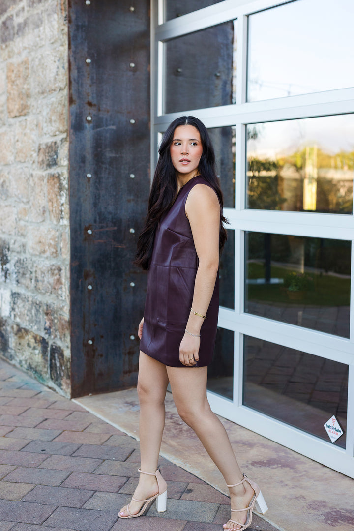 The Victoria Faux Leather Mini Dress