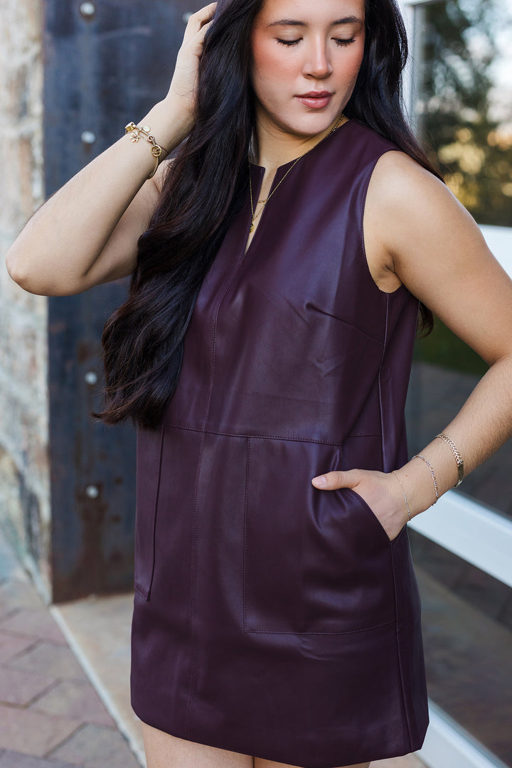 The Victoria Faux Leather Mini Dress
