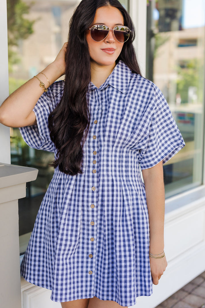 The Lemons To Lemonade Gingham Mini Dress