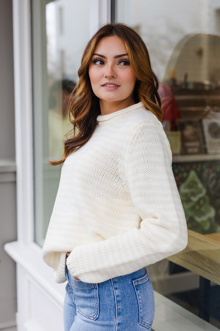 The Everyday Rollneck Cozy Stripe Knit Sweater