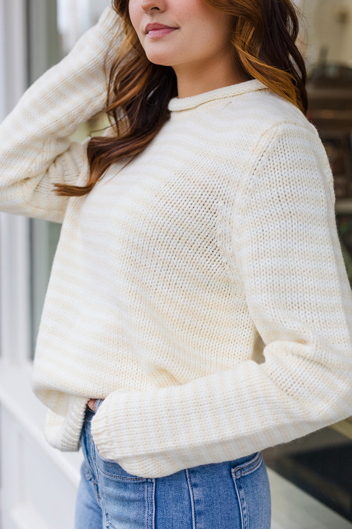 The Everyday Rollneck Cozy Stripe Knit Sweater