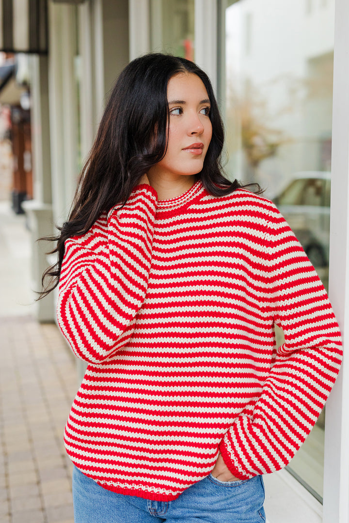 The Everyday Rollneck Cozy Stripe Knit Sweater