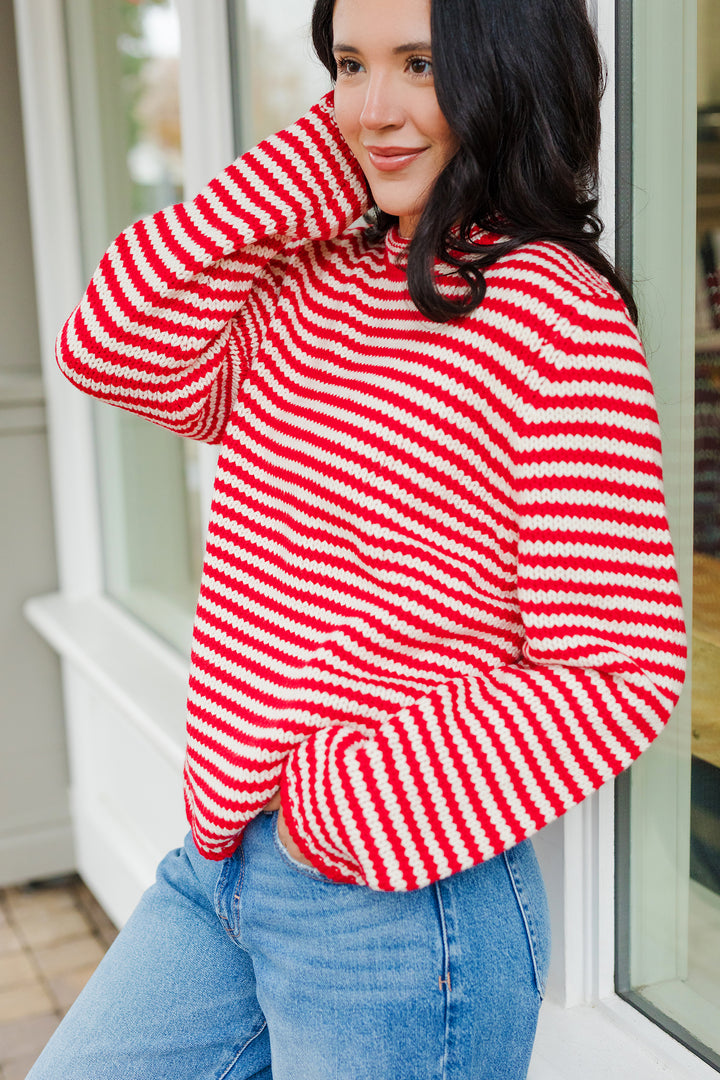 The Everyday Rollneck Cozy Stripe Knit Sweater