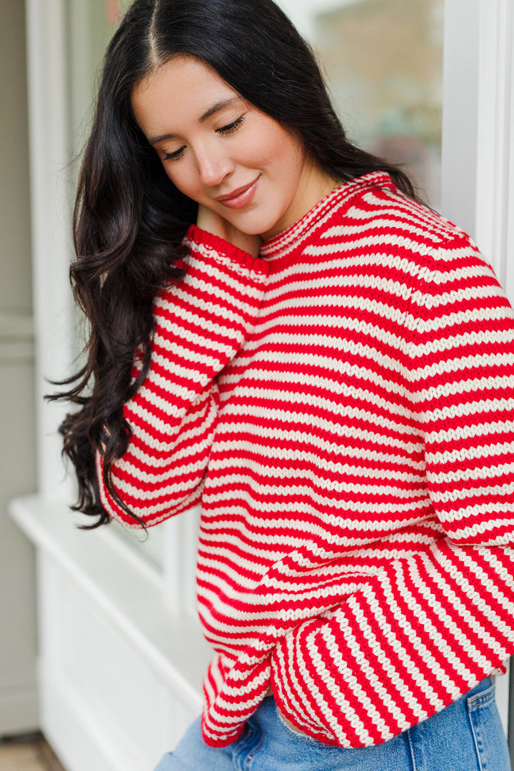 The Everyday Rollneck Cozy Stripe Knit Sweater