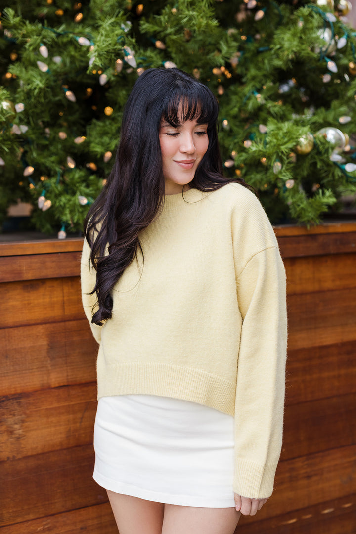 The Honey Butter Soft Cropped Sweater