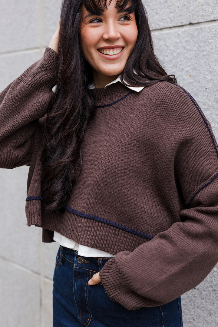 The Cocoa With Cream Contrast Knit Sweater