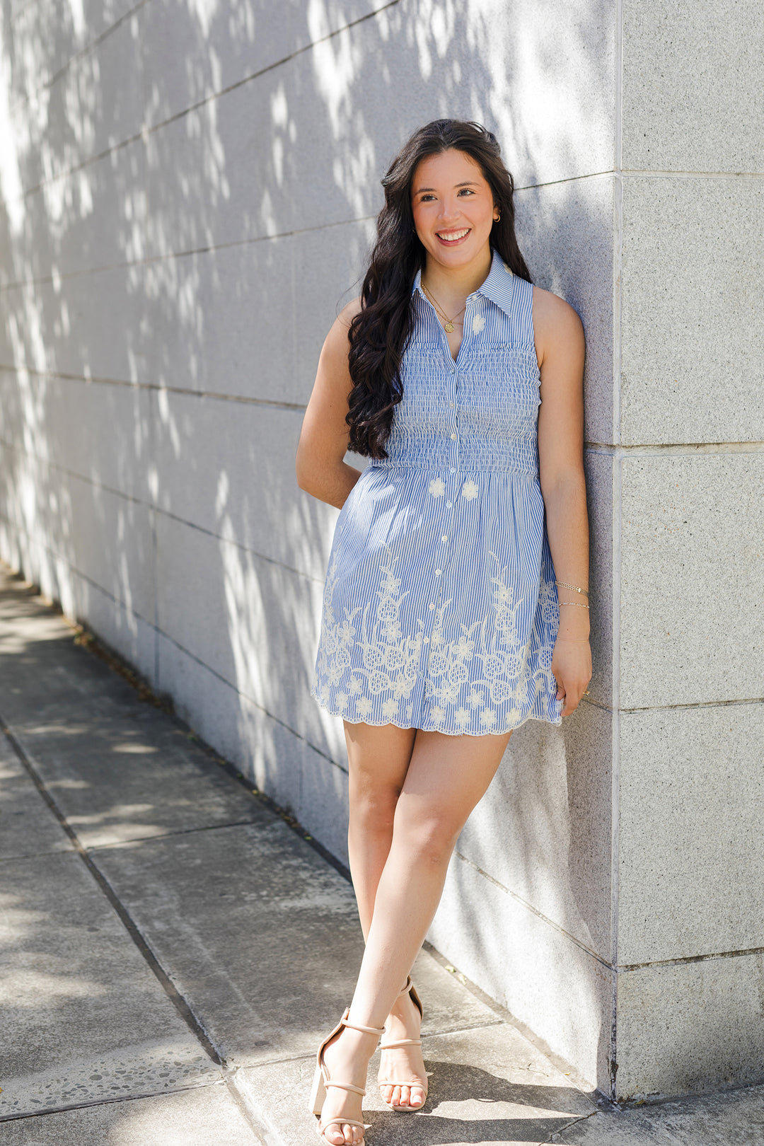 The Carolina Embroidered Blue Mini Dress