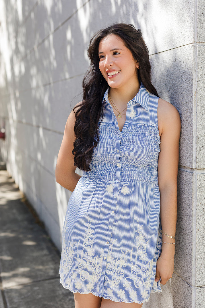 The Carolina Embroidered Blue Mini Dress