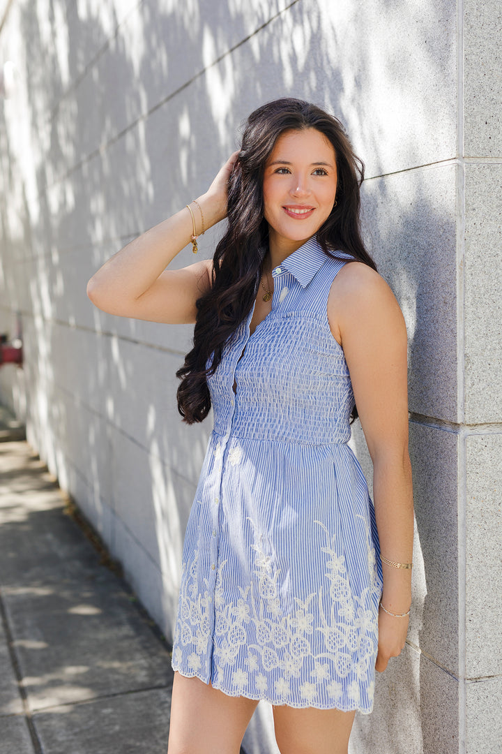 The Carolina Embroidered Blue Mini Dress